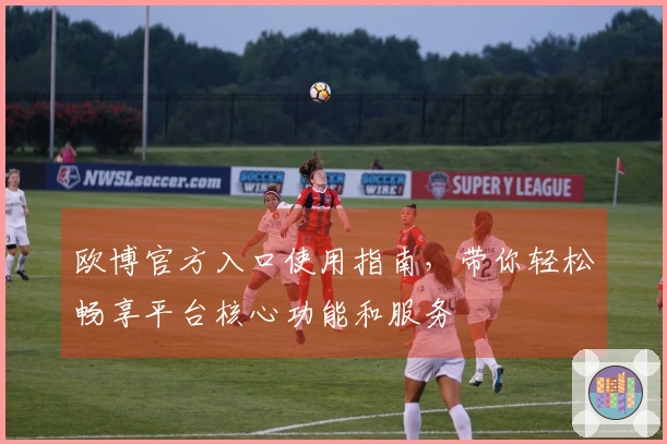 欧博官方入口使用指南，带你轻松畅享平台核心功能和服务