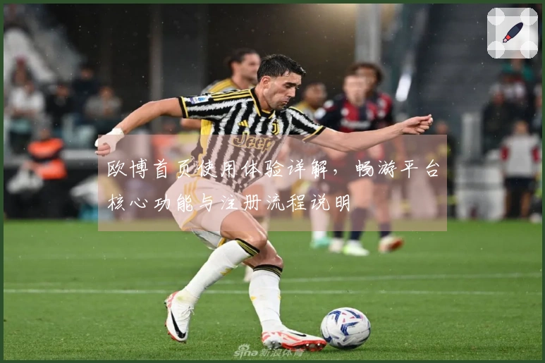 欧博首页使用体验详解，畅游平台核心功能与注册流程说明