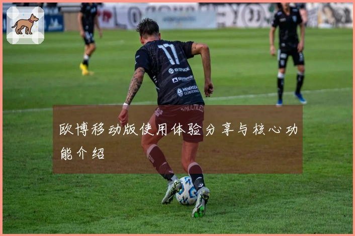 欧博移动版使用体验分享与核心功能介绍