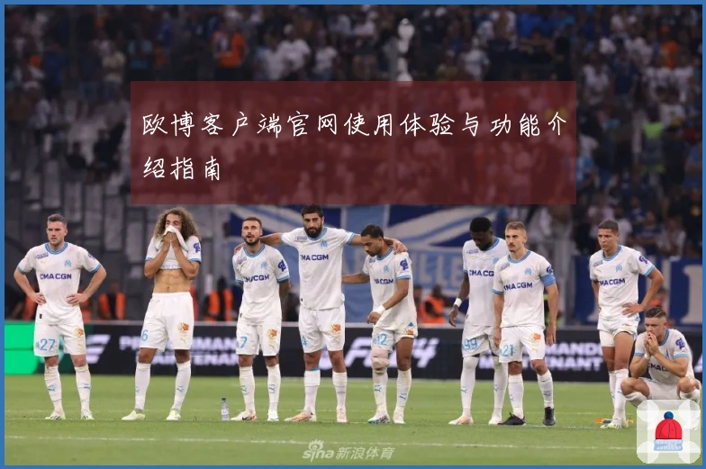欧博客户端官网使用体验与功能介绍指南